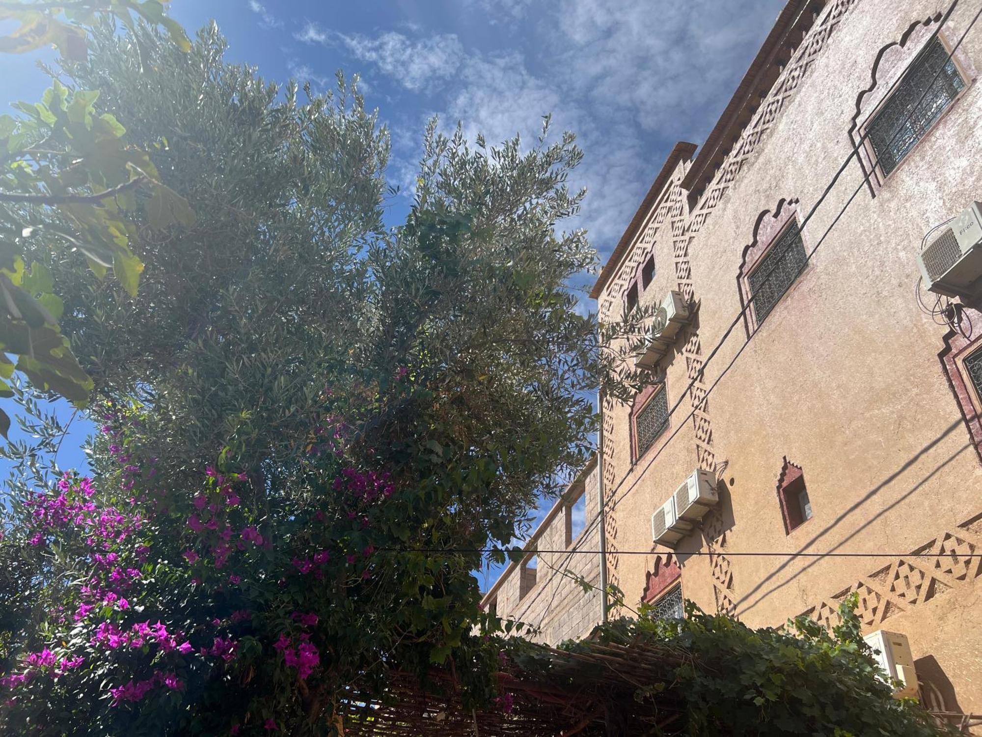 Dar Calme Chez El Bouhali Hotel Skoura Exterior foto
